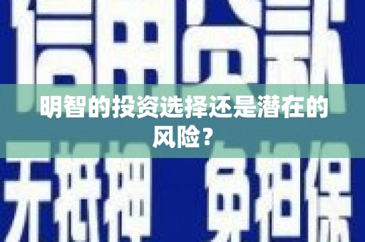 竹崎明智的投资选择还是潜在的风险？
