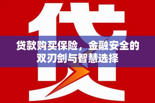 竹崎贷款购买保险，金融安全的双刃剑与智慧选择