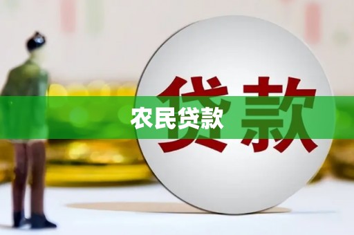 竹崎农民贷款