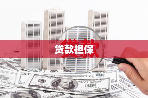 竹崎贷款担保