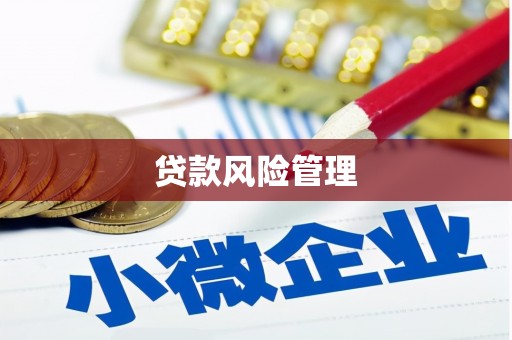 竹崎贷款风险管理
