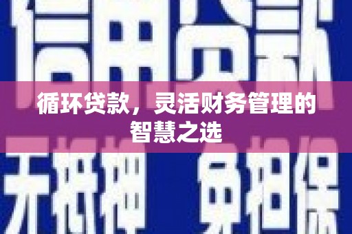 竹崎循环贷款，灵活财务管理的智慧之选