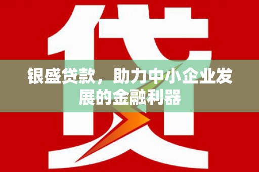 竹崎银盛贷款，助力中小企业发展的金融利器