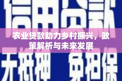 竹崎农业贷款助力乡村振兴，政策解析与未来发展