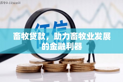 竹崎畜牧贷款，助力畜牧业发展的金融利器