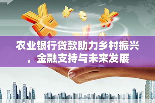 竹崎农业银行贷款助力乡村振兴，金融支持与未来发展