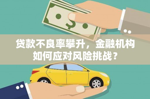 竹崎贷款不良率攀升，金融机构如何应对风险挑战？