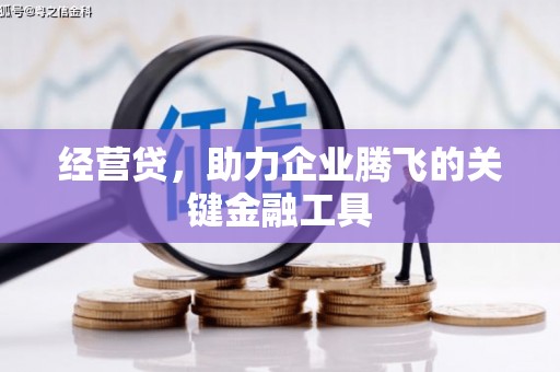 竹崎经营贷，助力企业腾飞的关键金融工具