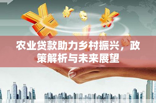 竹崎农业贷款助力乡村振兴，政策解析与未来展望