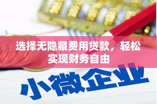竹崎选择无隐藏费用贷款，轻松实现财务自由