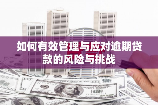 竹崎如何有效管理与应对逾期贷款的风险与挑战