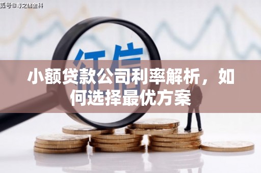 竹崎小额贷款公司利率解析，如何选择最优方案