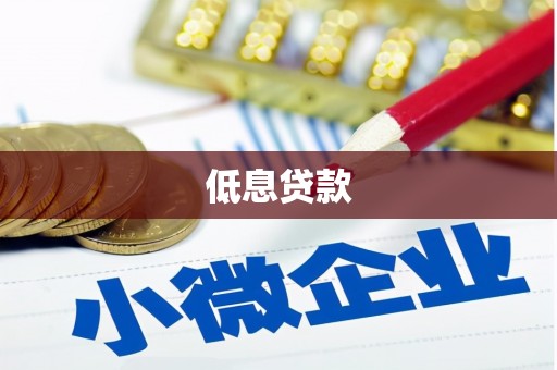竹崎低息贷款