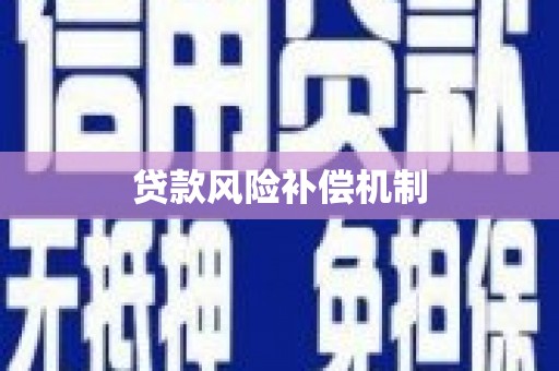 竹崎贷款风险补偿机制