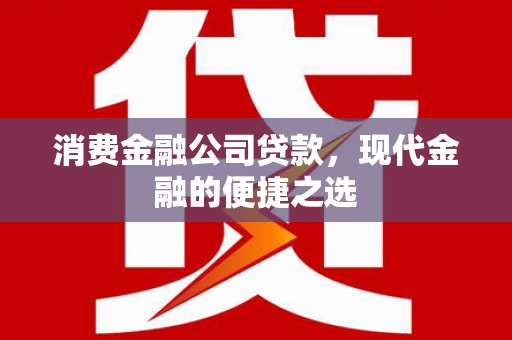 竹崎消费金融公司贷款，现代金融的便捷之选