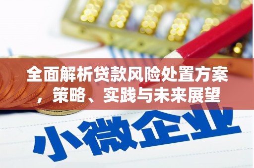 竹崎全面解析贷款风险处置方案，策略、实践与未来展望