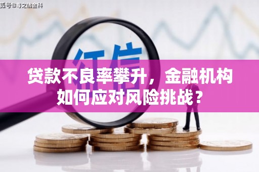 竹崎贷款不良率攀升，金融机构如何应对风险挑战？