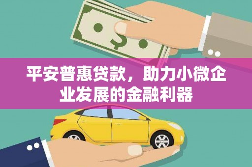 竹崎平安普惠贷款，助力小微企业发展的金融利器