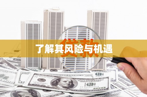 竹崎了解其风险与机遇