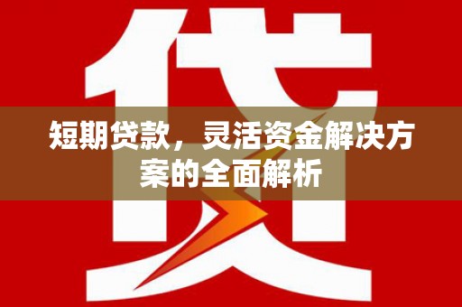 竹崎短期贷款，灵活资金解决方案的全面解析