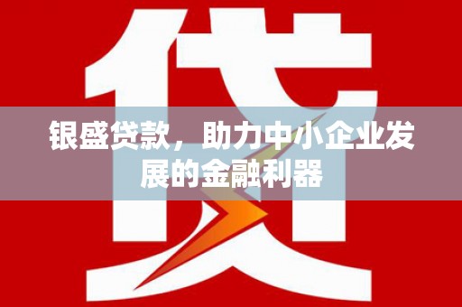 竹崎银盛贷款，助力中小企业发展的金融利器