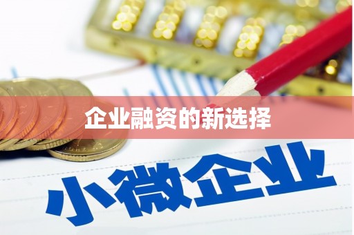 竹崎企业融资的新选择