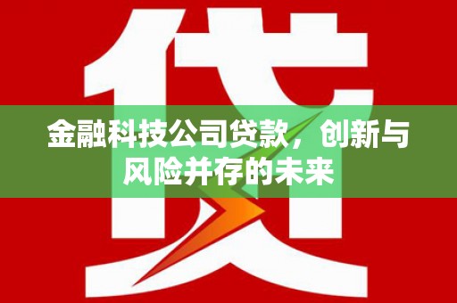 竹崎金融科技公司贷款，创新与风险并存的未来