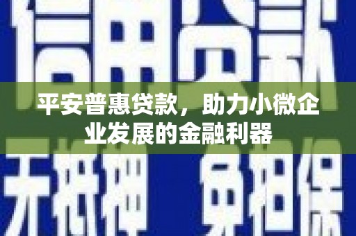 竹崎平安普惠贷款，助力小微企业发展的金融利器