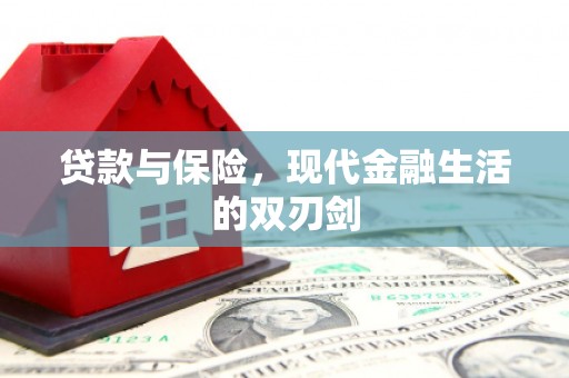 竹崎贷款与保险，现代金融生活的双刃剑