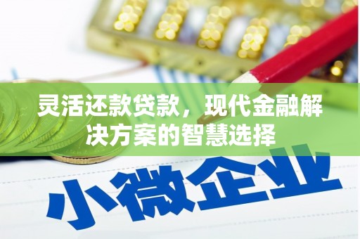 竹崎灵活还款贷款，现代金融解决方案的智慧选择