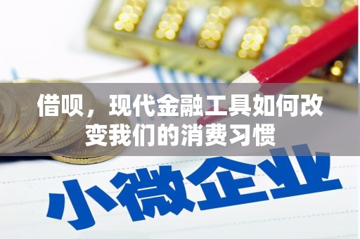 竹崎借呗，现代金融工具如何改变我们的消费习惯