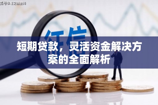 竹崎短期贷款，灵活资金解决方案的全面解析