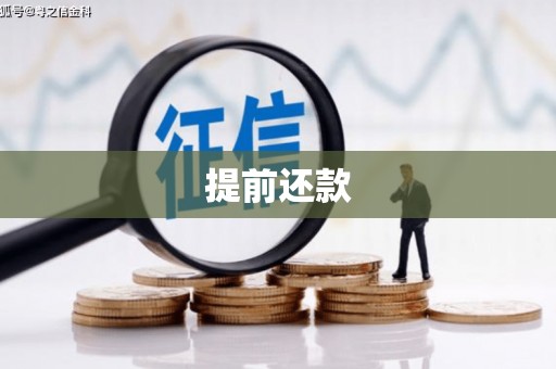 竹崎提前还款