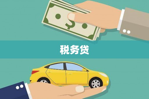 竹崎税务贷