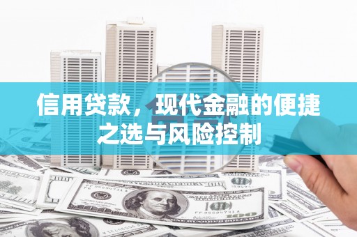 竹崎信用贷款，现代金融的便捷之选与风险控制