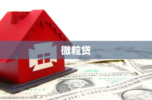 竹崎微粒贷