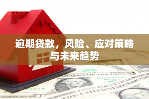 竹崎逾期贷款，风险、应对策略与未来趋势