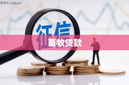 竹崎畜牧贷款