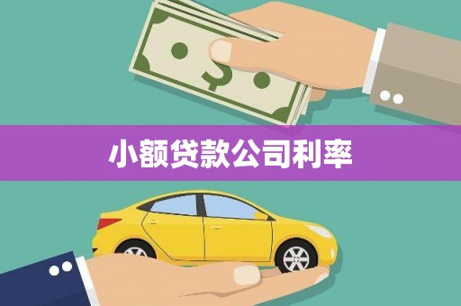 竹崎小额贷款公司利率