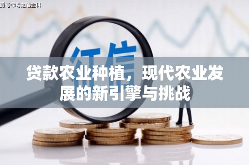 竹崎贷款农业种植，现代农业发展的新引擎与挑战