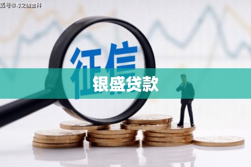 竹崎银盛贷款