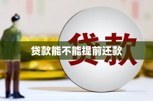 竹崎贷款能不能提前还款