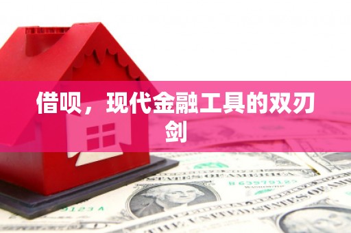 竹崎借呗，现代金融工具的双刃剑
