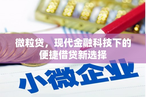 竹崎微粒贷，现代金融科技下的便捷借贷新选择