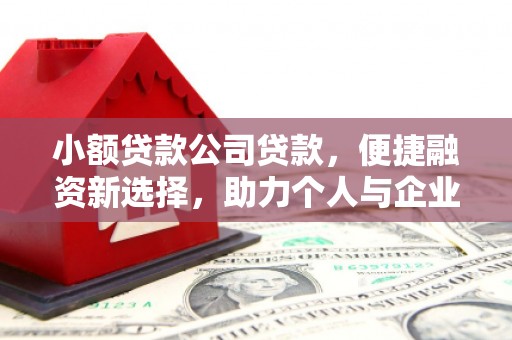 竹崎小额贷款公司贷款，便捷融资新选择，助力个人与企业成长