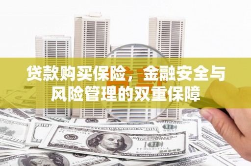 竹崎贷款购买保险，金融安全与风险管理的双重保障