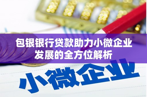 竹崎包银银行贷款助力小微企业发展的全方位解析