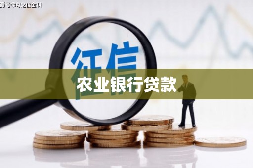 竹崎农业银行贷款