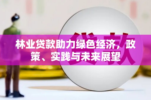 竹崎林业贷款助力绿色经济，政策、实践与未来展望