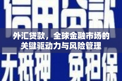 竹崎外汇贷款，全球金融市场的关键驱动力与风险管理